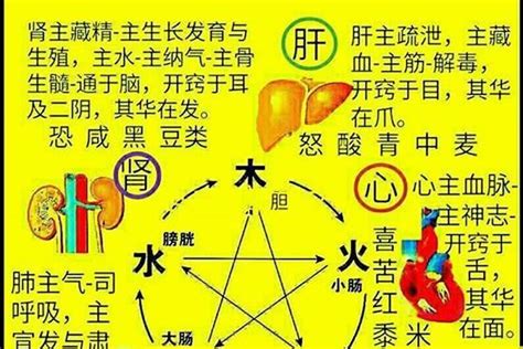 綾五行|绫字五行属什么